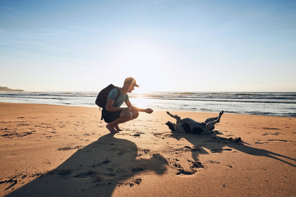 Strandurlaub mit Hund