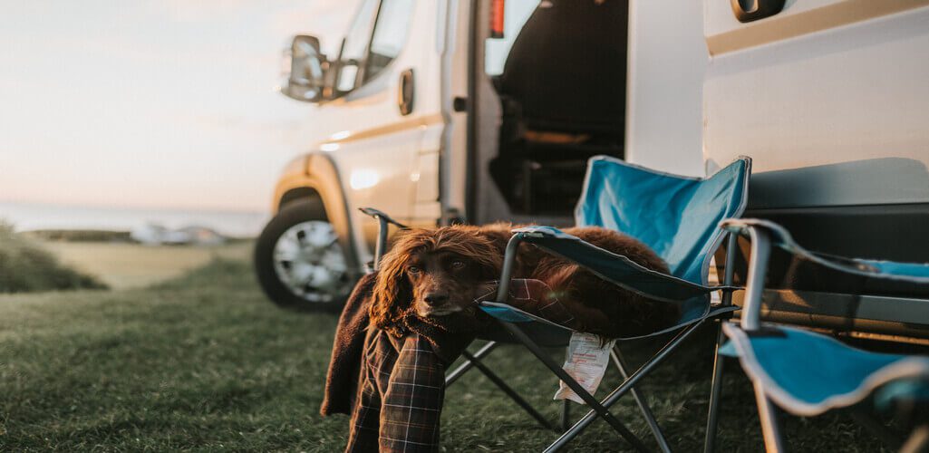 4Pfoten-Urlaub Wohnmobil mit Hund