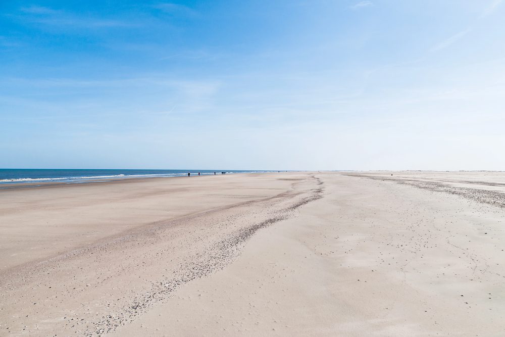 4pfoten-Urlaub Kurzurlaub mit Hund an der Nordsee