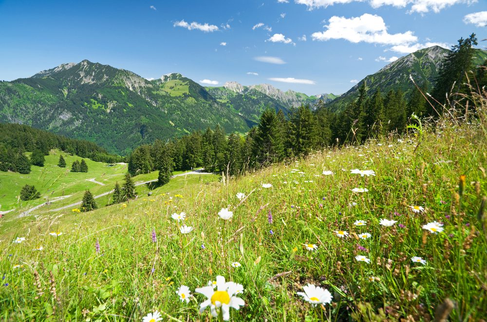 4Pfoten-Urlaub Wanderurlaub mit Hund in Bayern