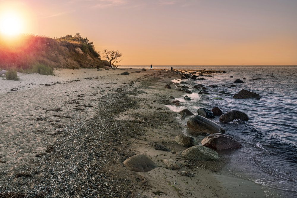 4Pfoten-Urlaub Strand auf Fehmarn