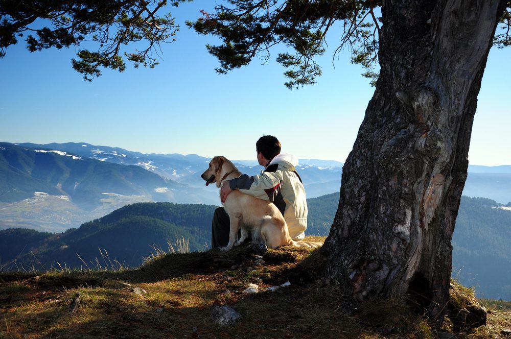 4Pfoten-Urlaub mit dem Vierbeiner wandern