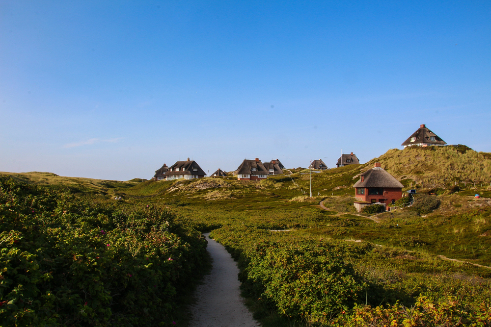 4Pfoten-Urlaub Strandurlaub mit Hund