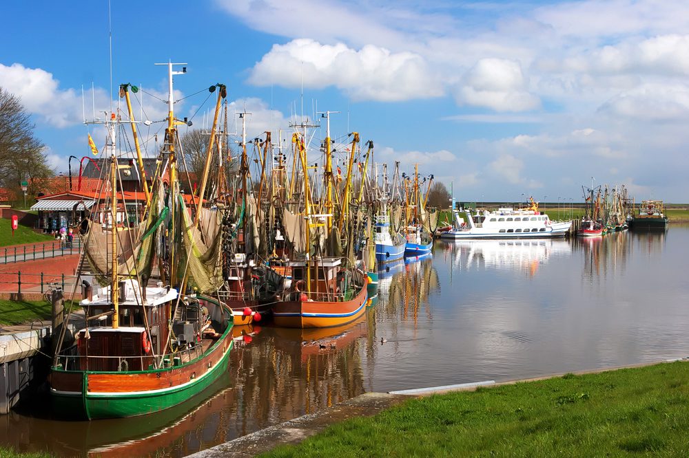 4Pfoten-Urlaub Greetsieler Hafen