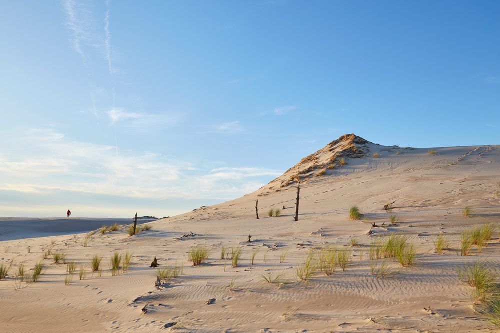 4Pfoten-Urlaub Polnische Ostsee