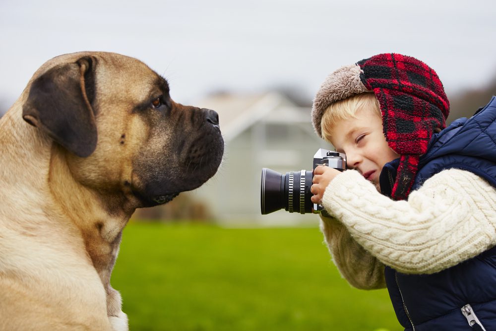 4Pfoten-Urlaub Hund wird fotografiert