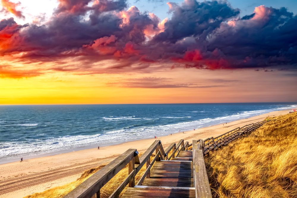 4Pfoten-Urlaub Strand auf Sylt