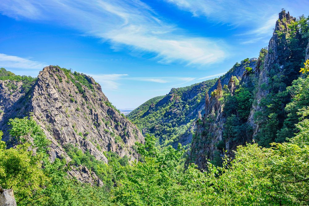 4Pfoten-Urlaub Kurzurlaub mit Hund im Harz