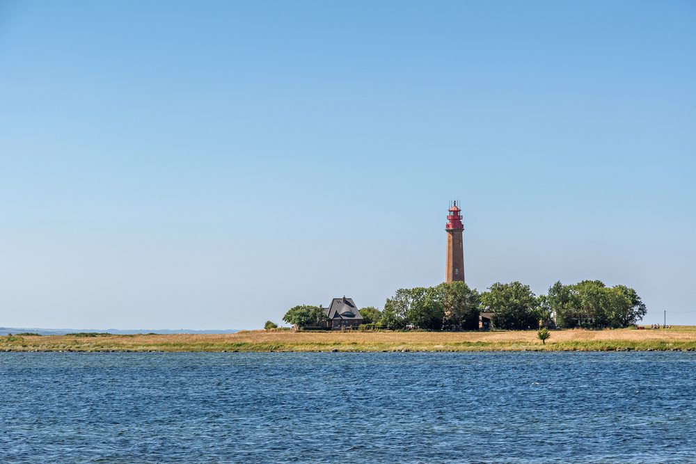 4Pfoten-Urlaub Ostseeurlaub mit Hund