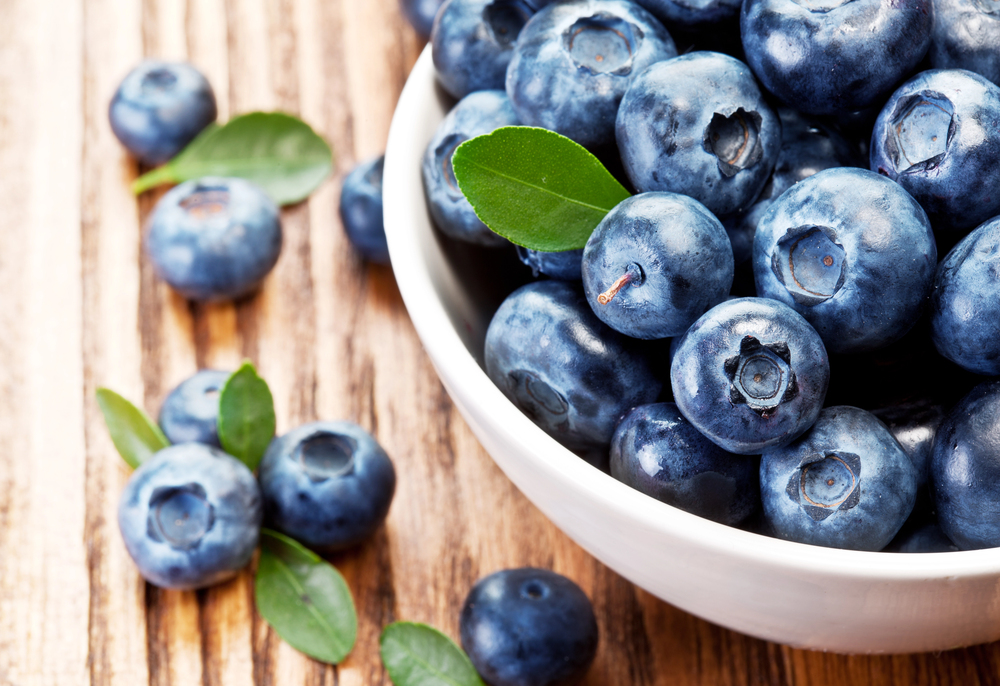 4Pfoten-Urlaub Superfood Blaubeere